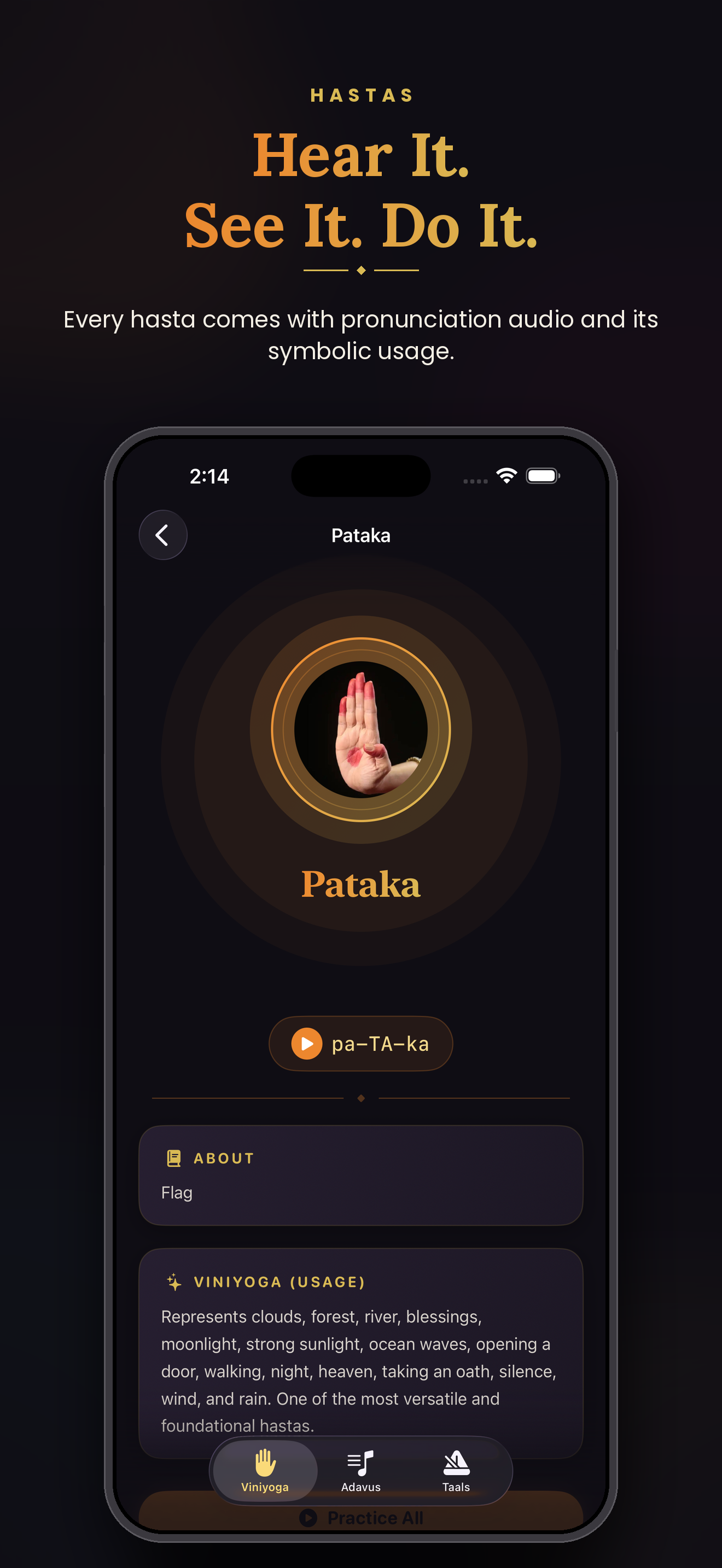 Pataka hasta detail screen with pronunciation and viniyoga usage